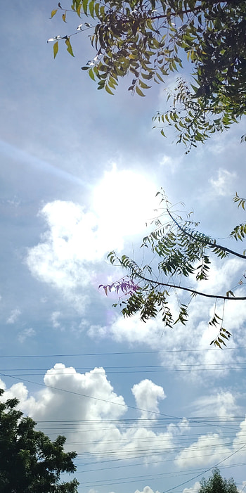 Sky, sun HD phone wallpaper