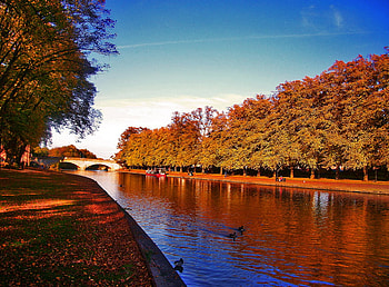 Evesham Abbey, Worcestershire, England, river, leaves, trees, autumn, abbey, sky, reflections, england HD wallpaper
