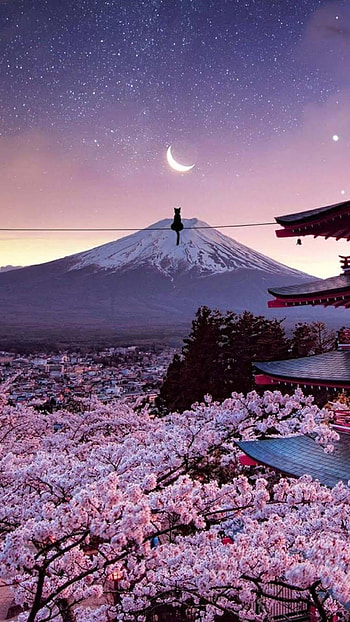 Japanese – Japan for Android, Purple Japan HD phone wallpaper