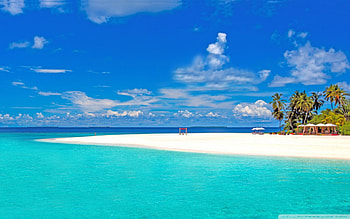 tropical beach, sky, water, cloud, tree HD wallpaper