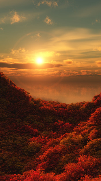 nature, fall HD phone wallpaper