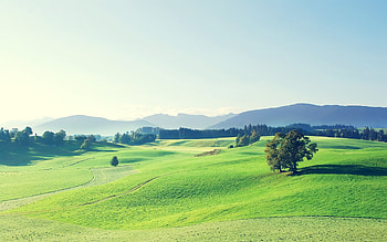 Landscape, Nature HD wallpaper