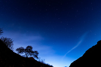 Trees, Night, Dark, Starry Sky, Slope HD wallpaper