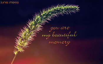 You Are My Beautiful Memory, nature graphy, tamara kozaeva, luna messi , luna messi grapher, luna messi textures, texture, luna messi graphy, luna messi HD wallpaper