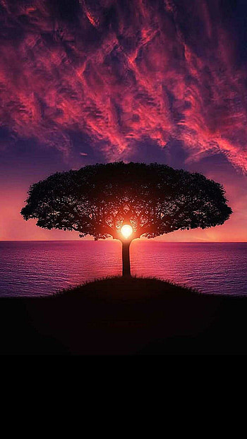 Ethereal sunset, Nature's beauty, Mesmerizing colors, Horizon HD phone wallpaper