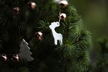 Holidays, New Year, Christmas, Toy, Christmas Tree HD wallpaper