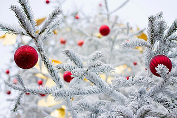 Winter, christmas, ball, nature, winter time, xmas HD wallpaper
