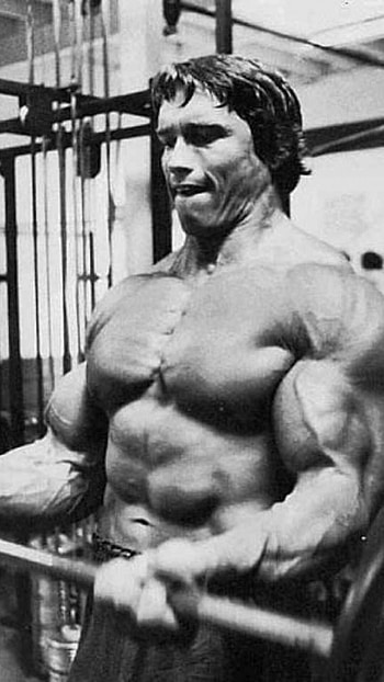 Arnold Schwarzenegger, , High-resolution HD phone wallpaper