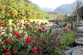 Scenery, flowers, Streams, rock, mountain HD wallpaper