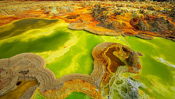 Ethiopian wildlife, Breathtaking nature, Rich biodiversity, Untouched wilderness HD wallpaper