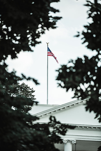 Trees, Usa, Building, Miscellanea, Miscellaneous, United States, Flag HD phone wallpaper
