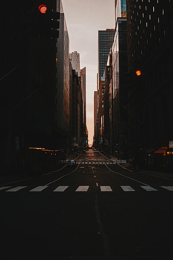 Cities, City, Building, Road, Skyscrapers HD phone wallpaper
