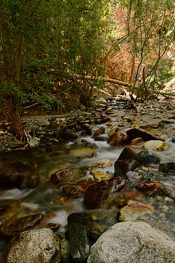 Nature, Water, Rivers, Trees, Stones, Creek, Brook HD phone wallpaper