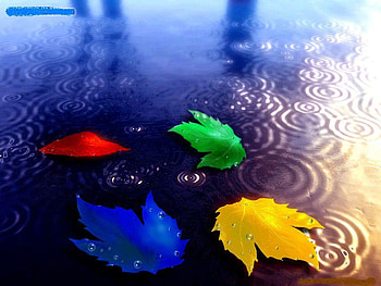 Fall, blue, color, nature, leafs, water, rivers HD wallpaper