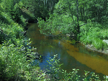 Looking Down On A Forest Creek, Creek, graphy, Forest, Grass, Trees, Nature HD wallpaper