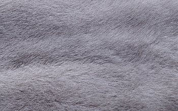 Gray wool texture, Wolf fur, Detailed patterns, Natural colors HD wallpaper