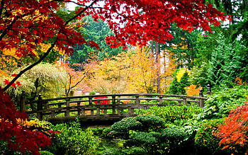 Landscape, Nature HD wallpaper