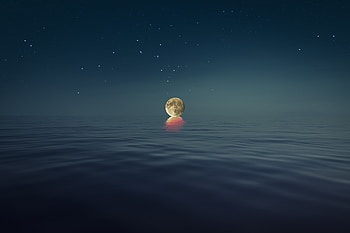 Sea, full-moon, hop HD wallpaper