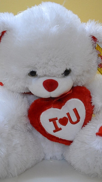 Teddy Wale, I Love You, Love, Teddy HD phone wallpaper