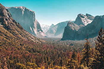 Forest Mountain Yosemite Valley , mountains, forest, nature HD wallpaper
