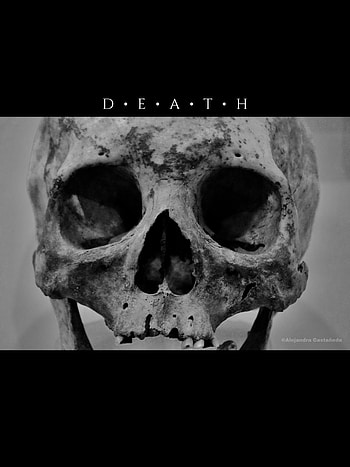 Death, horror, muerte, skull HD phone wallpaper