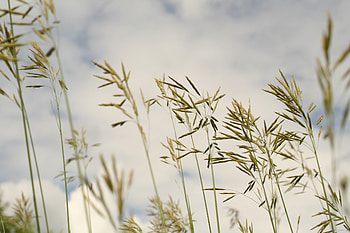 Superior , blue, clouds, summer, brown HD wallpaper