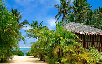 Landscape, Beach, Palms HD wallpaper