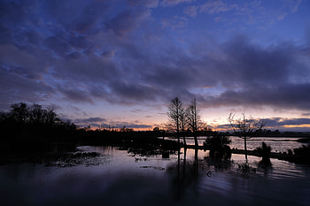 Nature, Trees, Sunset, Sky, Lake HD wallpaper