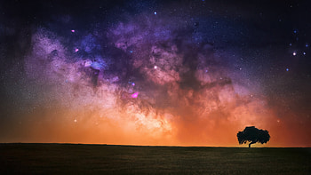 Tree Greenery Slope Mountain Under Colorful Starry Sky During Nighttime Nature HD wallpaper