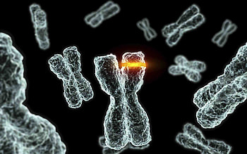 Cell Biology HD wallpaper