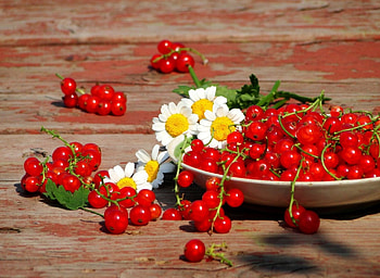 Still life , life, nature, flowers, fruits, still HD wallpaper