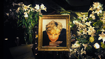 Harrods department store, Princess Diana HD wallpaper