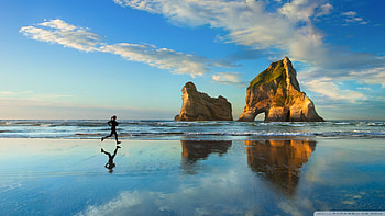 Standard ... HD wallpaper
