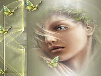 Butterfly Fairy, girl, lady, frame, female HD wallpaper