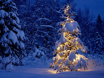 Landscape, Holidays HD wallpaper