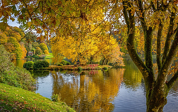 Golden autumn, tranquility, river, golden, fall, beautiful, serenity, tree, lake, park, reflection, yellow, branches, autumn, pond, foliage HD wallpaper