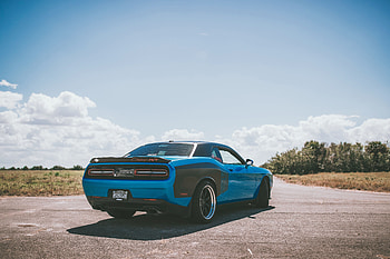 Sports, Auto, Cars, Sports Car, Back View, Rear View HD wallpaper