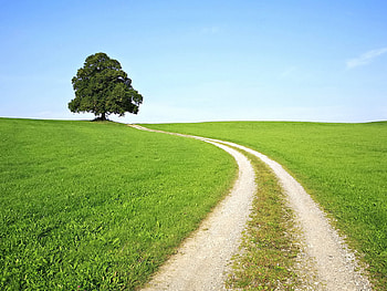 way of path, way, green, sky, nature, grass HD wallpaper