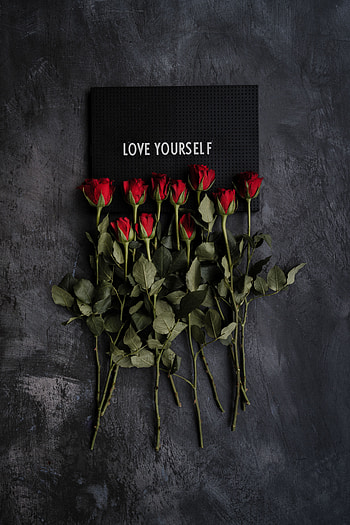 Flowers, Roses, Words, Inscription, Plate, Nameplate, Motivation HD phone wallpaper