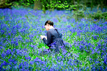 Lady Blue, blue, color, spring, beauty, woman, silence, lady, field, green, nature, flowers, places HD wallpaper