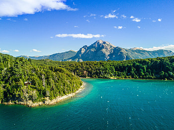 Nature, Trees, Sea, View From Above, Ocean, Greens, Island HD wallpaper