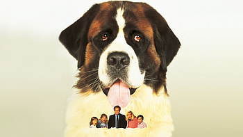 Beethoven movie, Backdrops, Movie database, Tmdb HD wallpaper