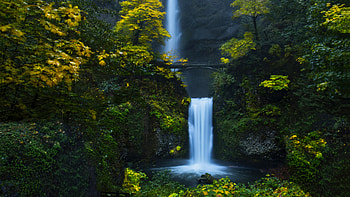 Water Stream, waterfall, green trees, forest HD wallpaper