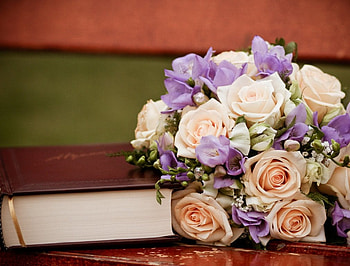 Bouquet, soft, beautiful, delicate, book, petals, flower, nature, lovely HD wallpaper