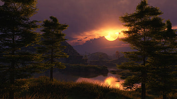 low sunset, fun, cool, nature, forest, lake, sunset HD wallpaper