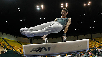 Christian Gulotta, Pommel Horse (Gymnastics) HD wallpaper
