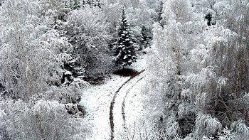 Winter, Nature, Trees, Snow, Road, Hoarfrost, Frost, From Above, Above HD wallpaper