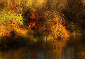 Golden Autumn, golden, river, autumn, forest HD wallpaper