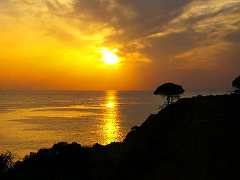Golden touch of nature, golden, beauty of nature, reflections, tree, clouds, sky, cliff, water, sunset HD wallpaper
