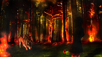 Fantasy - Wolf Woman Blood Rose Forest Fire HD wallpaper